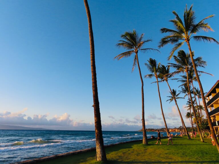 Palm trees on the beach at Ka'anapali Shores Resort in Maui Hawaii