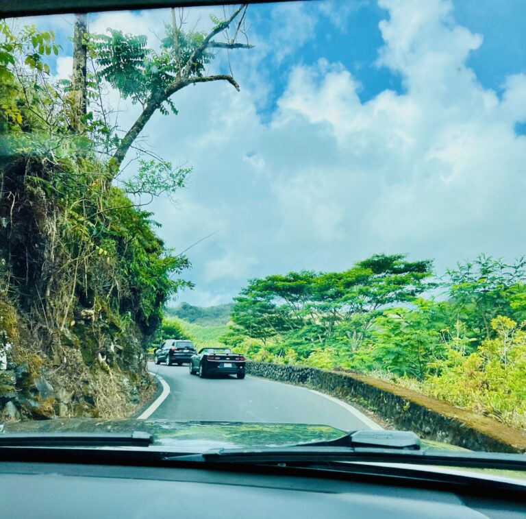 Driving Road To Hana, Maui, Hawaii