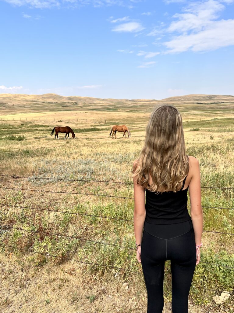 Girl looking at horses on farm in Montana