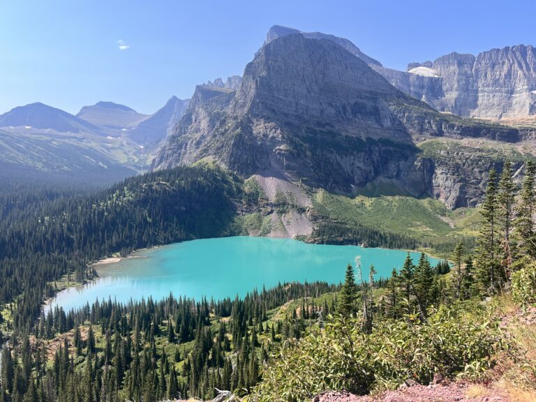 neon blue Grinnell Lake surrounded by mountains and wildflowers