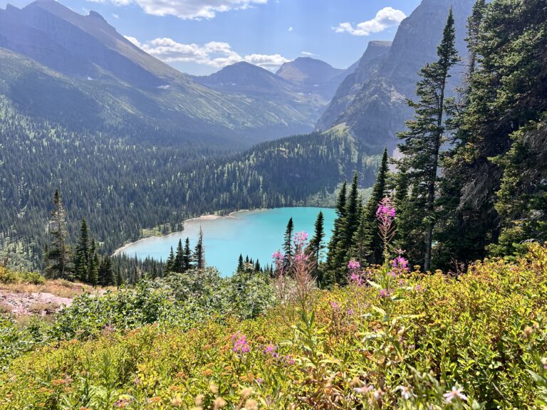 neon blue Grinnell lake surrounded by mountains and colorful wildflowers