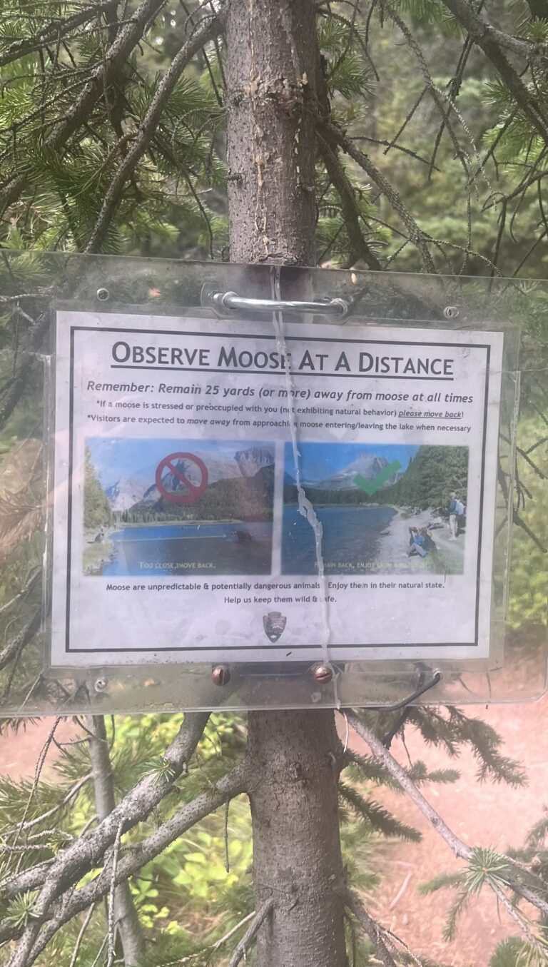 Sign on tree warning to stay back from moose