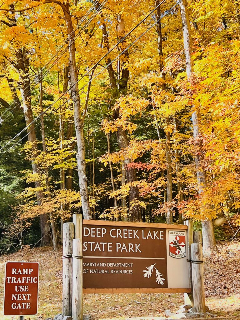 colorful fall trees surrounding Deep Creek State Park sign