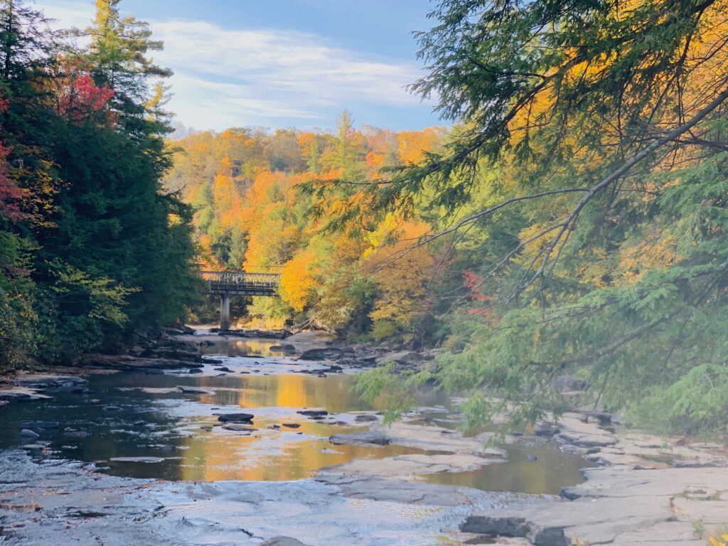 colorful fall trees surrounding river in deep creek maryland