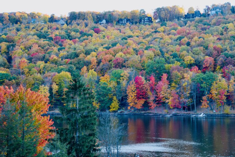 Colorful Fall Leaves Deep Creek Lake