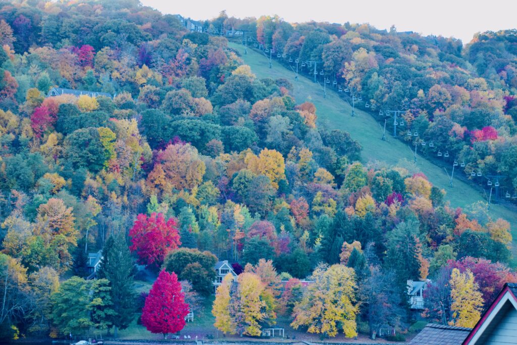 Colorful Fall Leaves on Wisp Mountain Deep Creek Lake