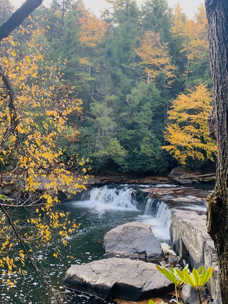 Swallow Falls Waterfall surrounded by fall leaves