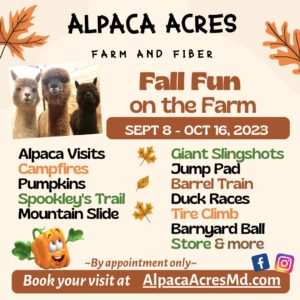 Alpaca Acres Fall On The Farm Fun in Deep Creek
