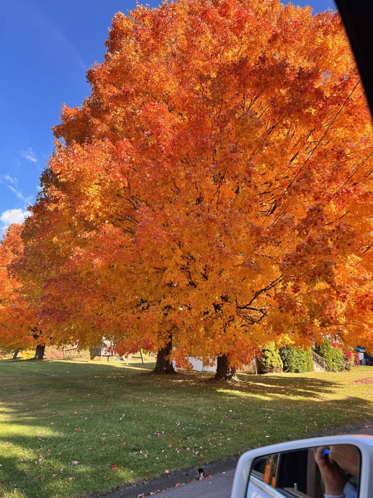 Colorful fall foliage on road at Deep Creek Lake