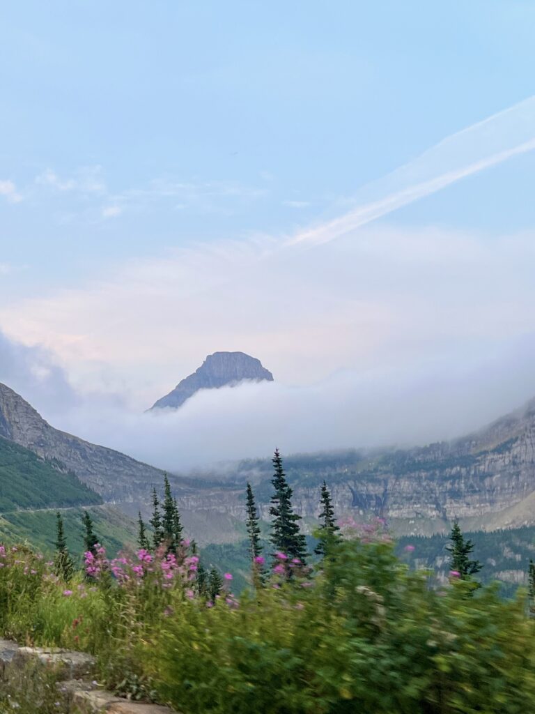 Fog circling Logan Pass in Glacier National Park