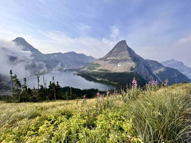 Hidden Lake Overlook with yellow and pink wildflowers and mountains in the background