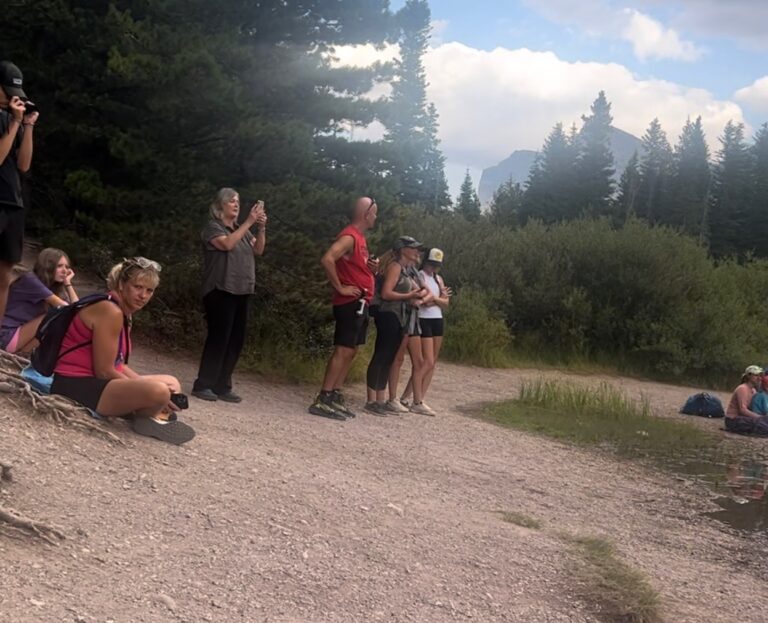 Visitors taking picture of moose at Fishercap Lake