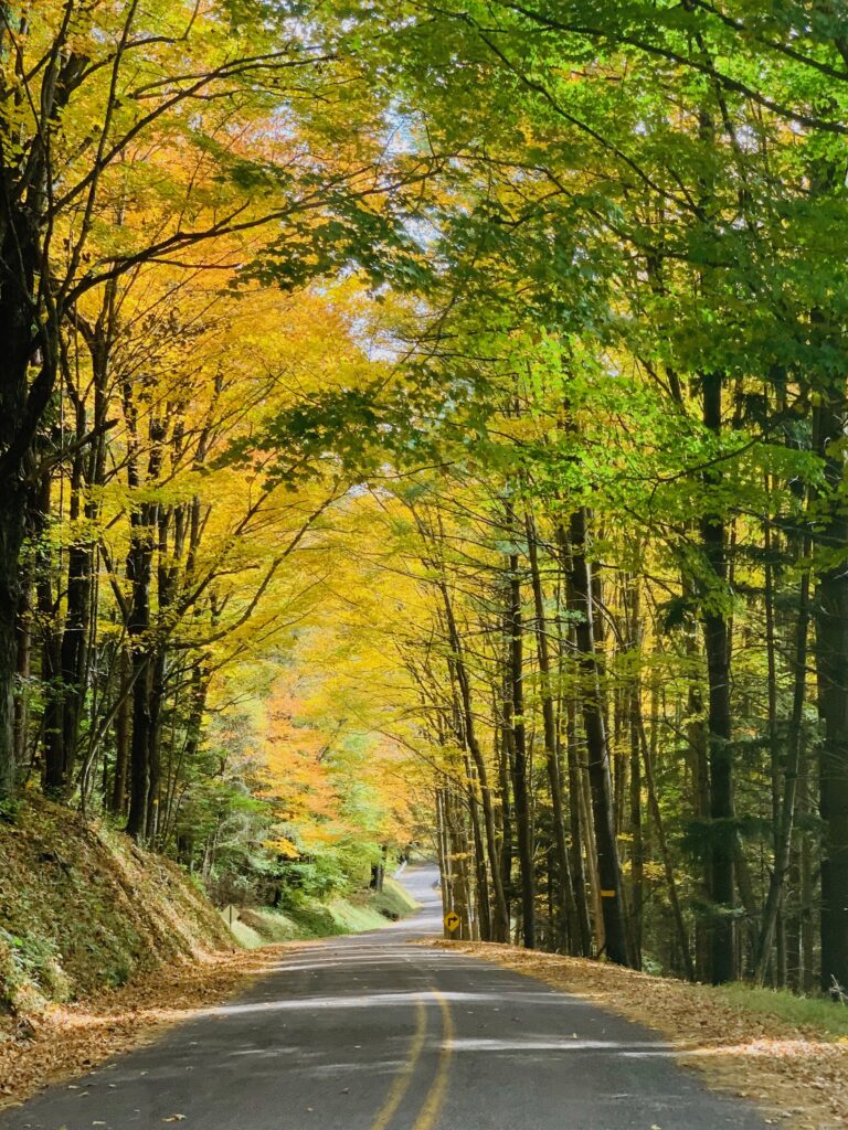 Colorful fall foliage on road at Deep Creek Lake