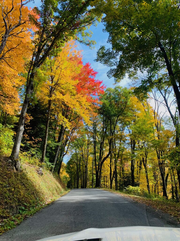 fall foliage on roads in deep creek lake Maryland