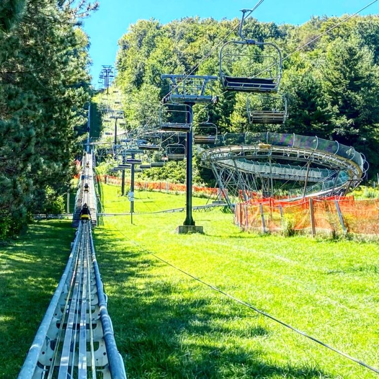 Wisp Resort Mountain Coaster