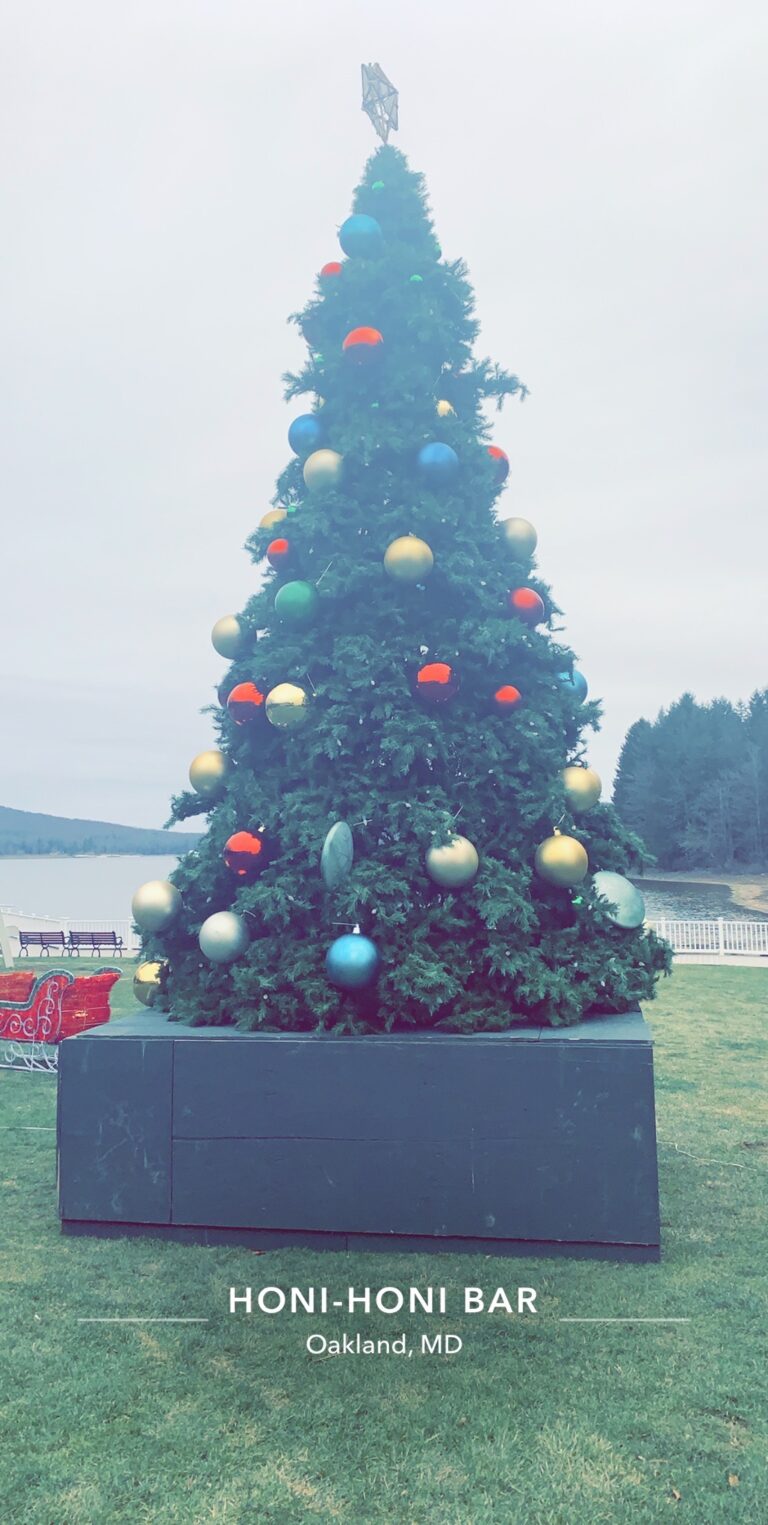 Christmas tree and decor at Honi Honi Bar in Deep Creek MD