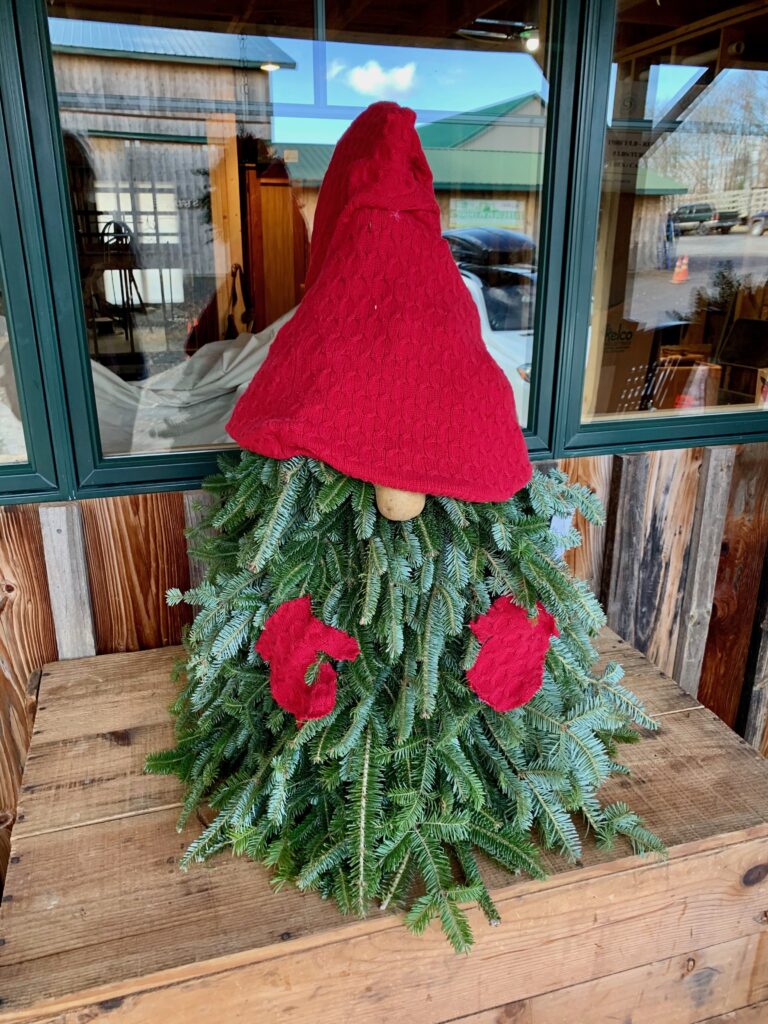 Woodlake Tree Farm in the winter at Deep Creek Lake