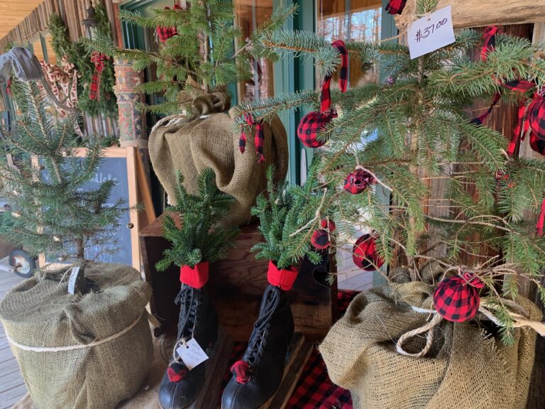 Woodlake Tree Farm in Deep Creek, Maryland in Winter