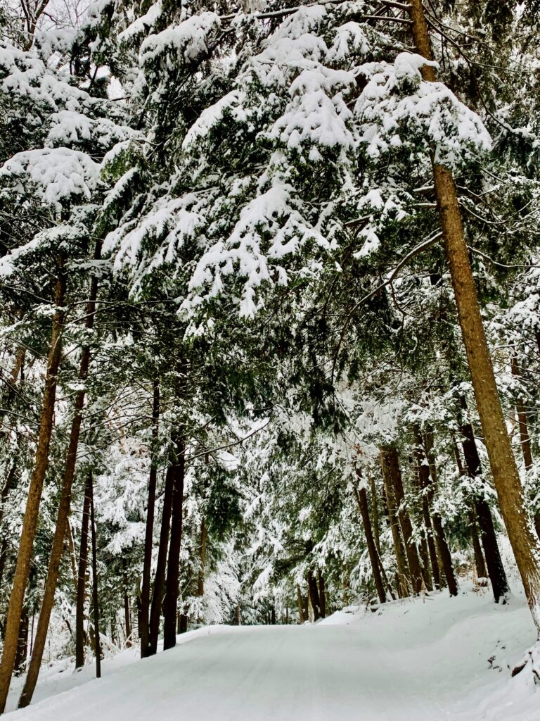 Hiking Swallow Falls in the winter at Deep Creek