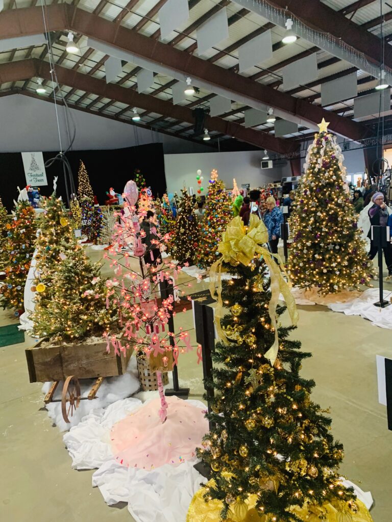 Festival of Trees in Deep Creek during the Winter Christmas Season