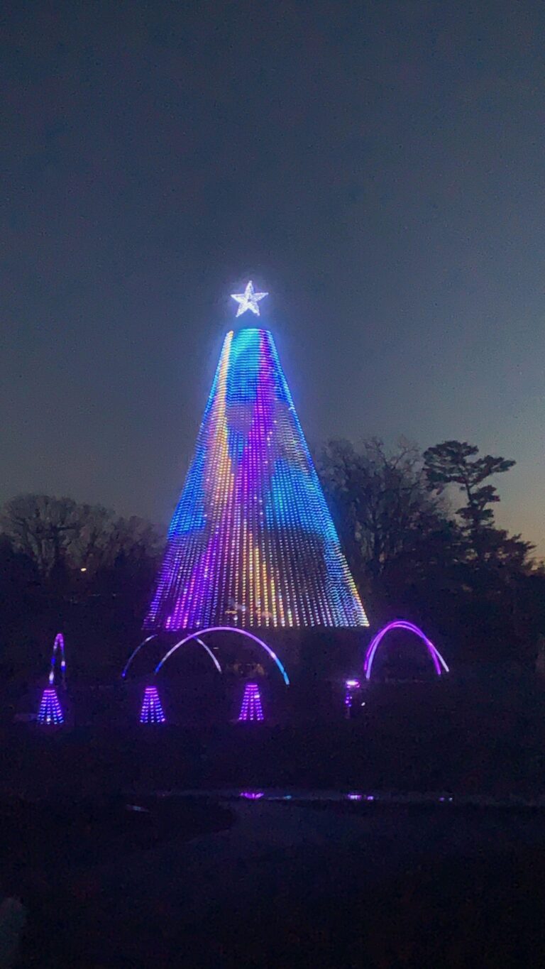 Christmas light show in Deep Creek Maryland