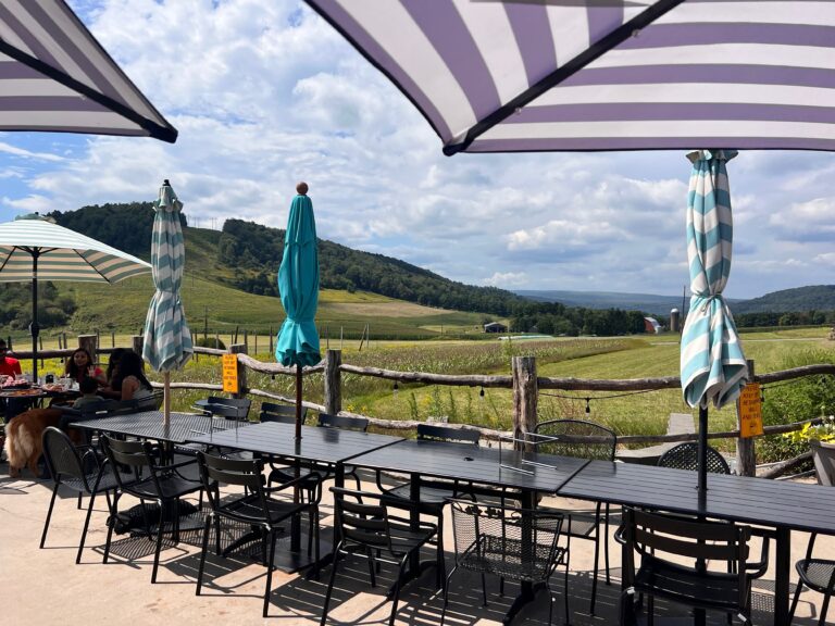 Outdoor Dining at Mountain State Brewing restaurant in Deep Creek, Maryland