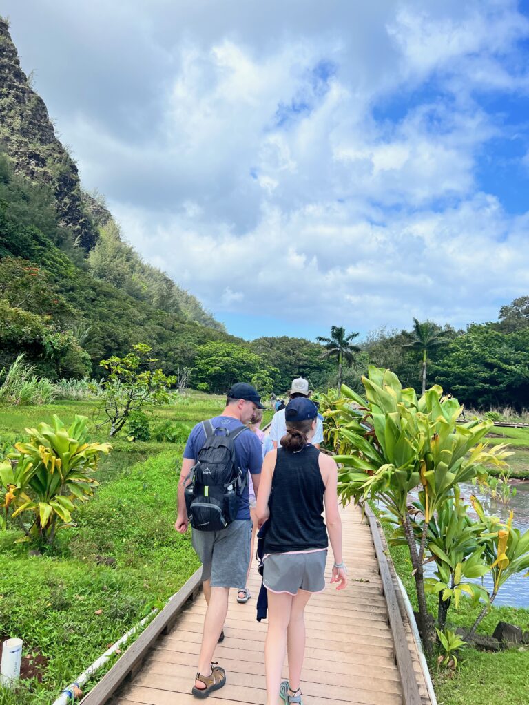 Kalalau Trail's Taro Fields