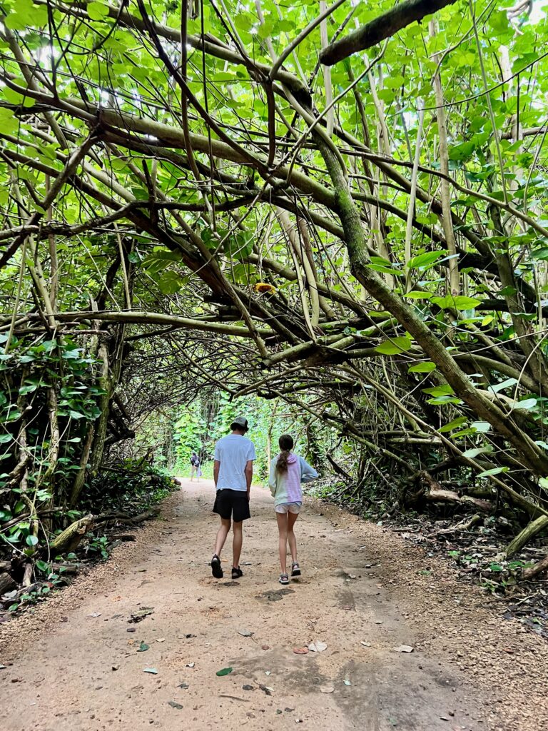 The Trail Head to Kalalau Trail from Ke'e Beach in Kauai