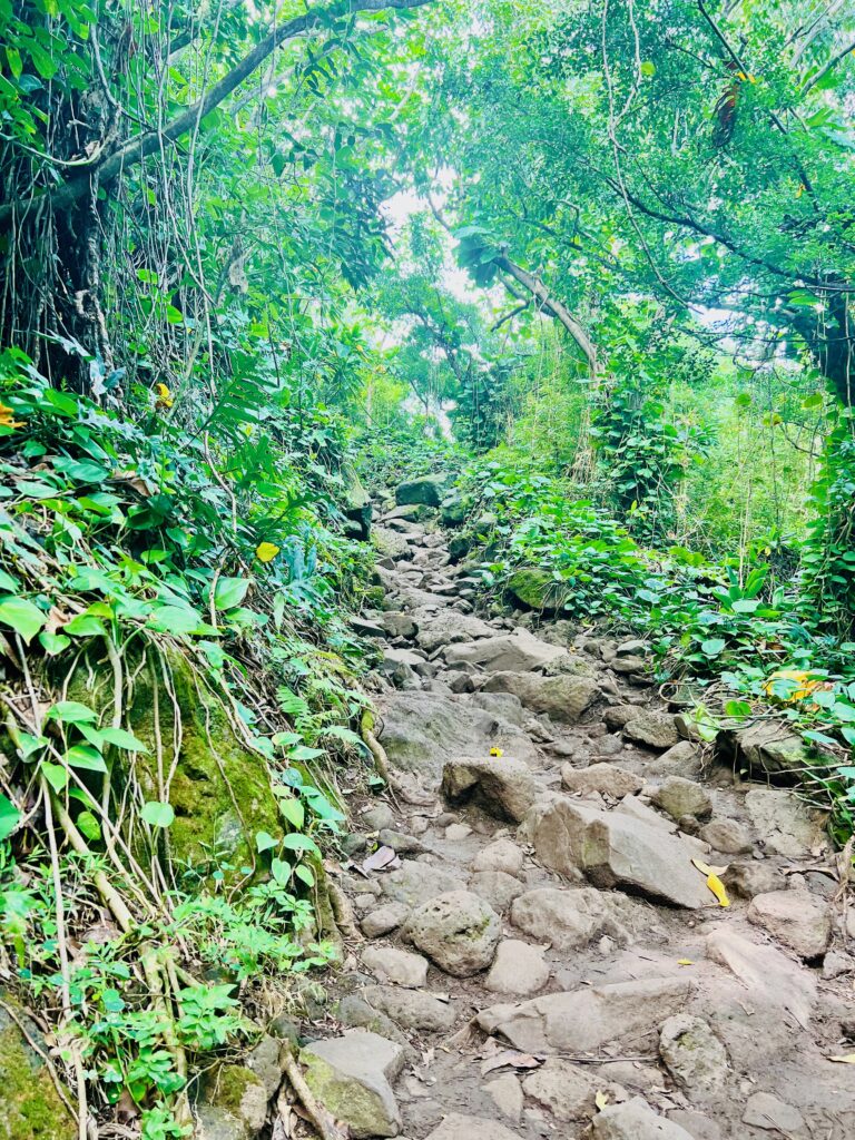 Steep Rocky Trail at the start of Kalalau Trail