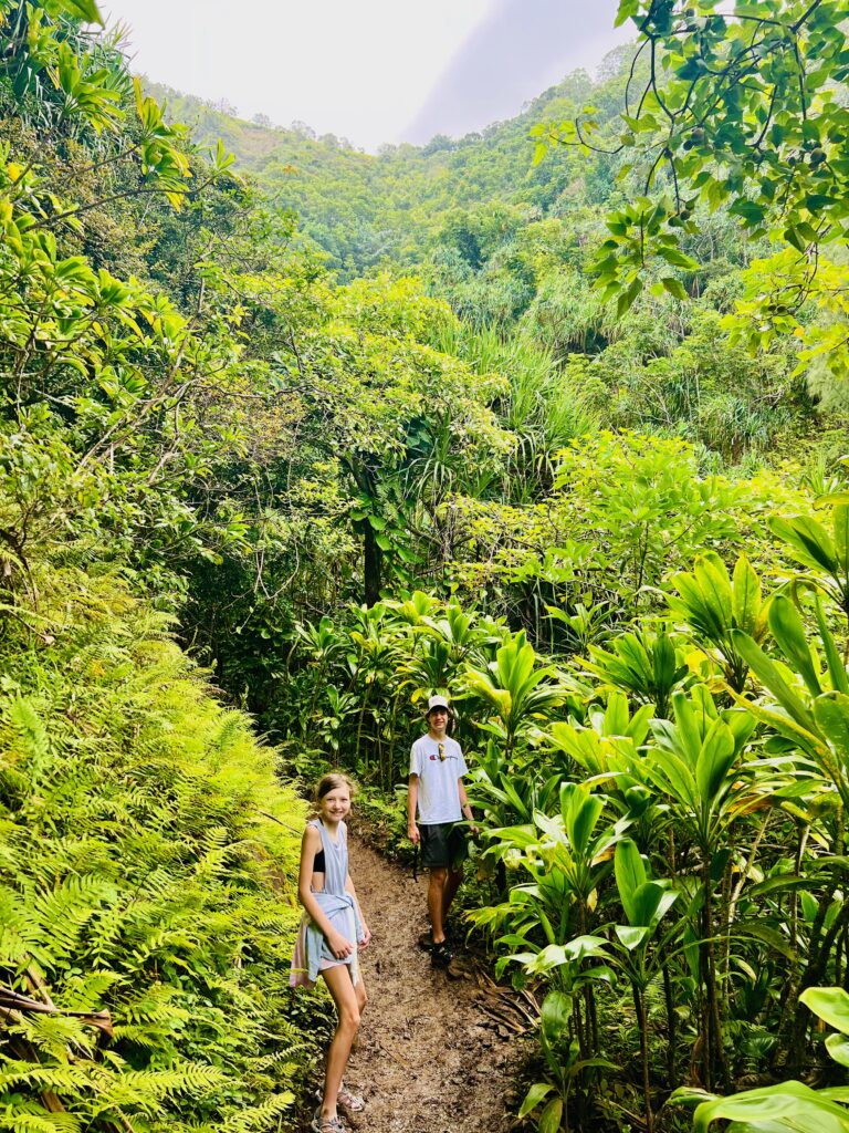 Hiking into the lush forest on the Kalalau Trail