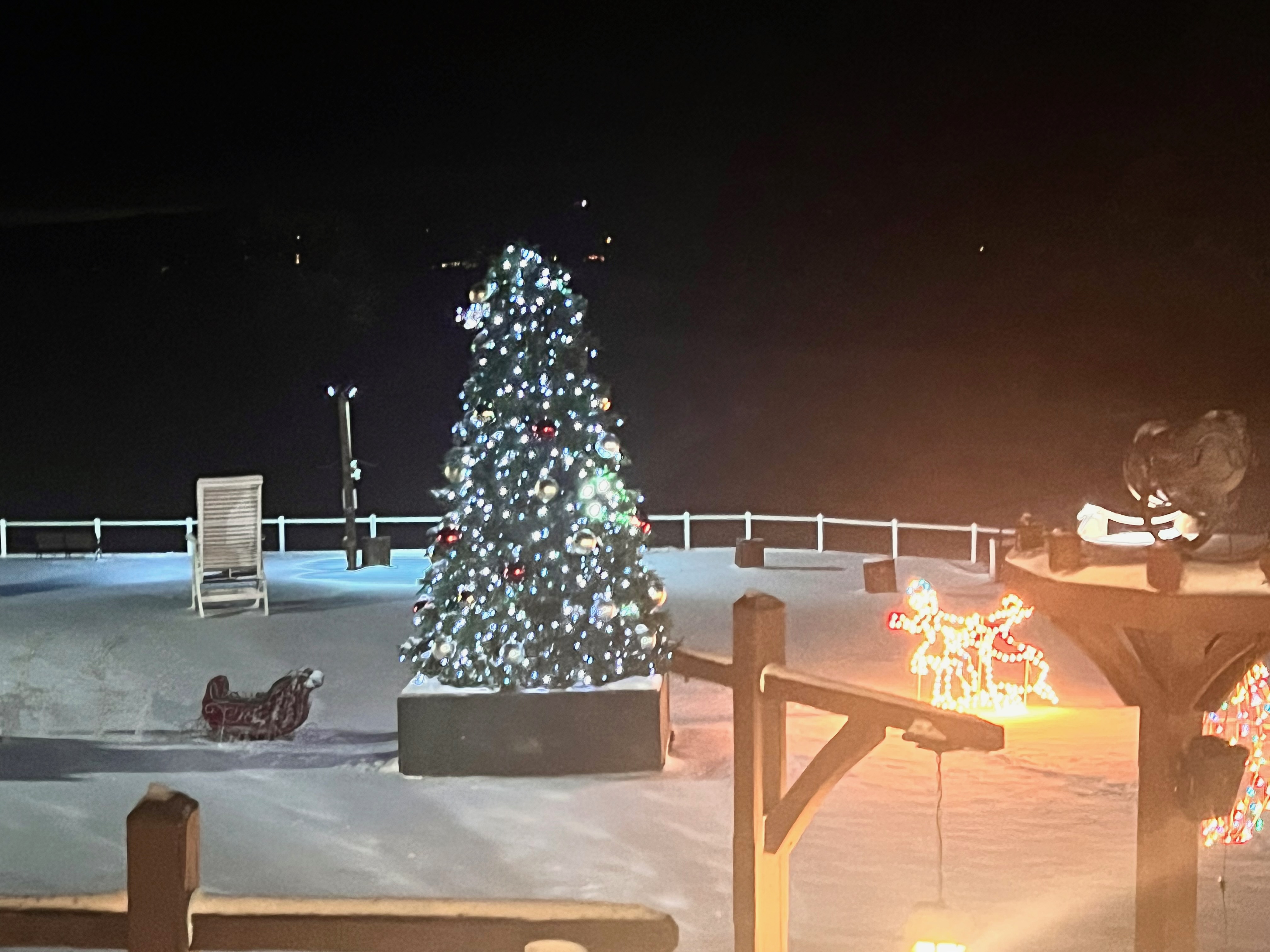 Festive Christmas Tree Decor at Honi Honi in Deep Creek Lake