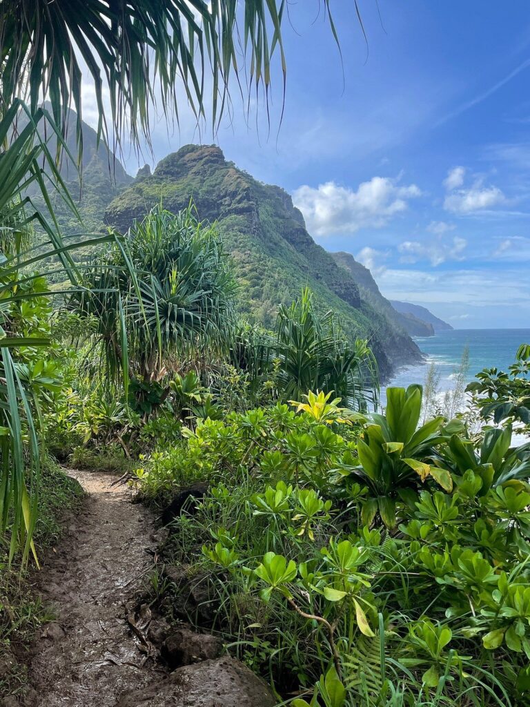 Kalalau Trail to Hanakapi'ai Beach