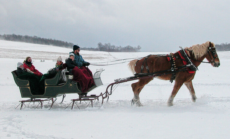 Horse Drawn Sleigh Rides in Winter Deep Creek Maryland