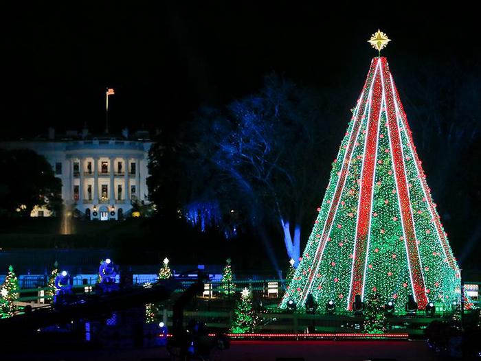 National Christmas Tree in Washington DC