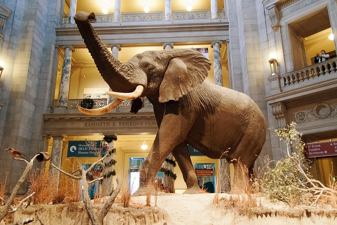 Tour of the Smithsonian Museum of Natural History In Washington DC