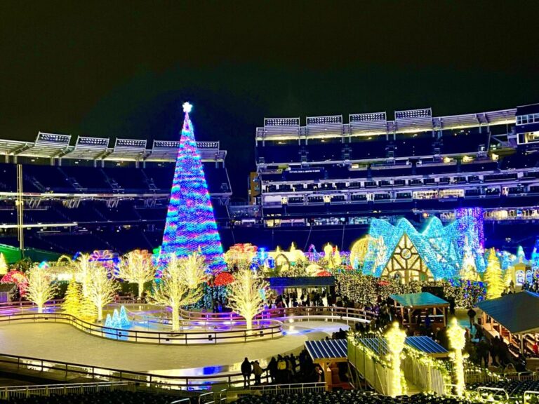 Enchant Christmas Light display in Washington DC