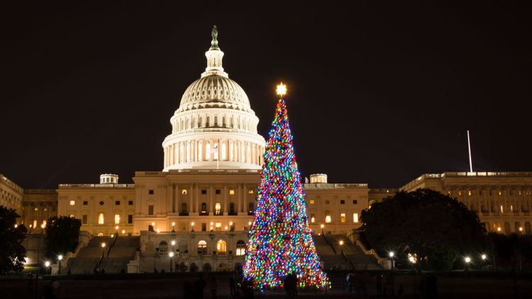 The U.S. Capitol Christmas Tree in Washington DC