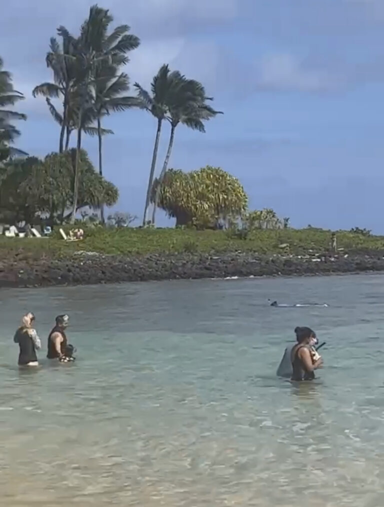 Snorkeling at Kiahuna Beach in Kauai