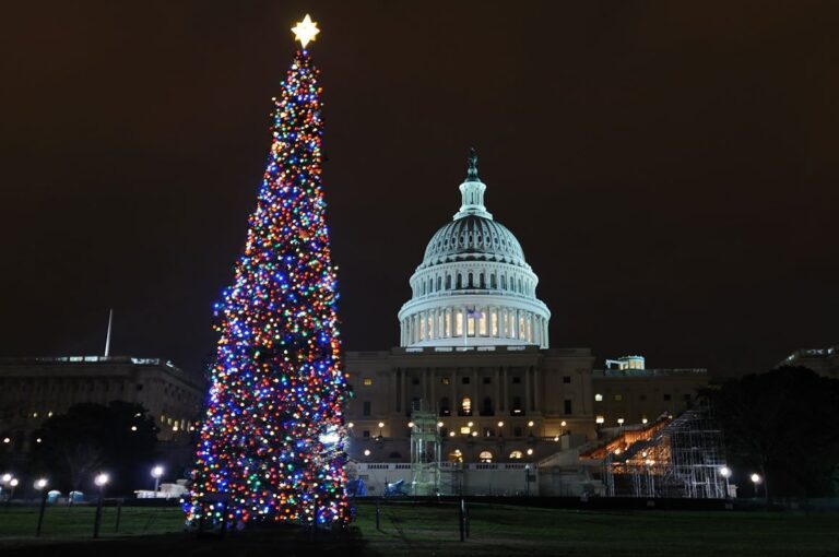 Washington-DC-Washington-DC-Christmas-US-Capital-Christmas-Tree-Credit-DepositPhotos-Steve-Heap