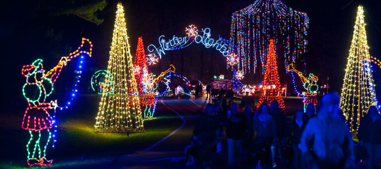 Winter Lights Festival in Seneca Creek