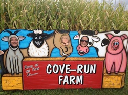 Cove Run Corn Maze in Deep Creek, Maryland
