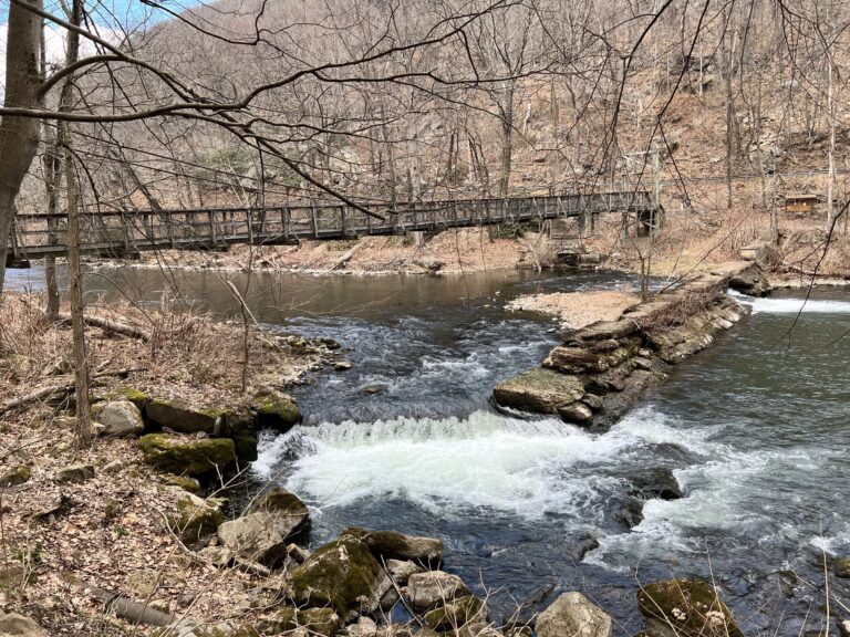 The Savage River Bridge Loop hiking trail in Deep Creek Lake, Maryland