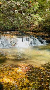 Lostland Run Hiking Trail in Deep Creek Lake, Maryland