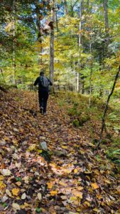 The best hiking trails in Deep Creek Lake, Maryland