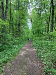 The Kendall Trail in Deep Creek Lake, Maryland