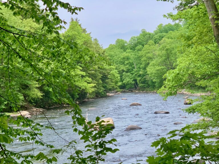 The best hiking trails in Deep Creek Lake, Maryland