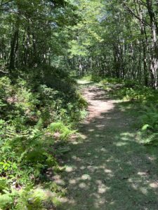 New Germany State Park Hiking Trail Deep Creek