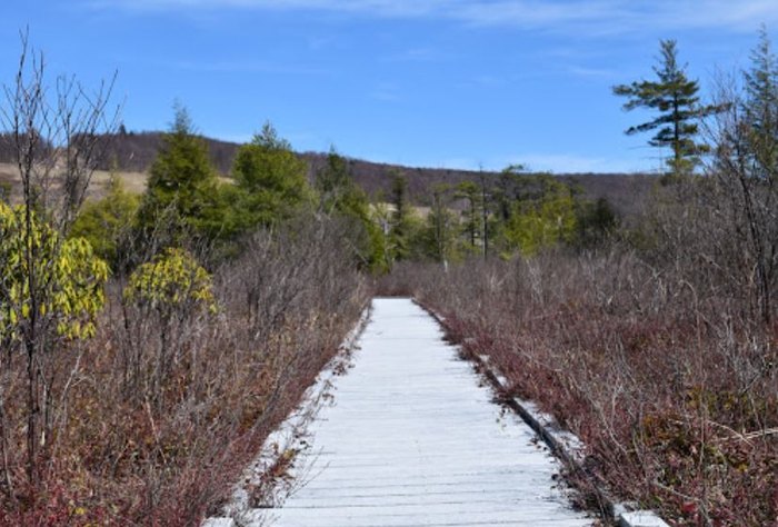 Cranesville Swamp hiking trail near Deep Creek Lake, Maryland