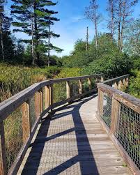 Loch Lynn Heights Hiking Trail in Deep Creek Lake, Maryland