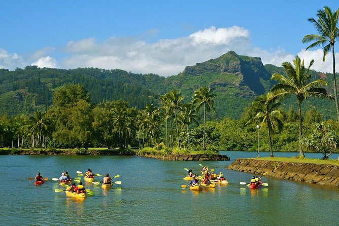 Wailua River Kayak Tours in Kauai
